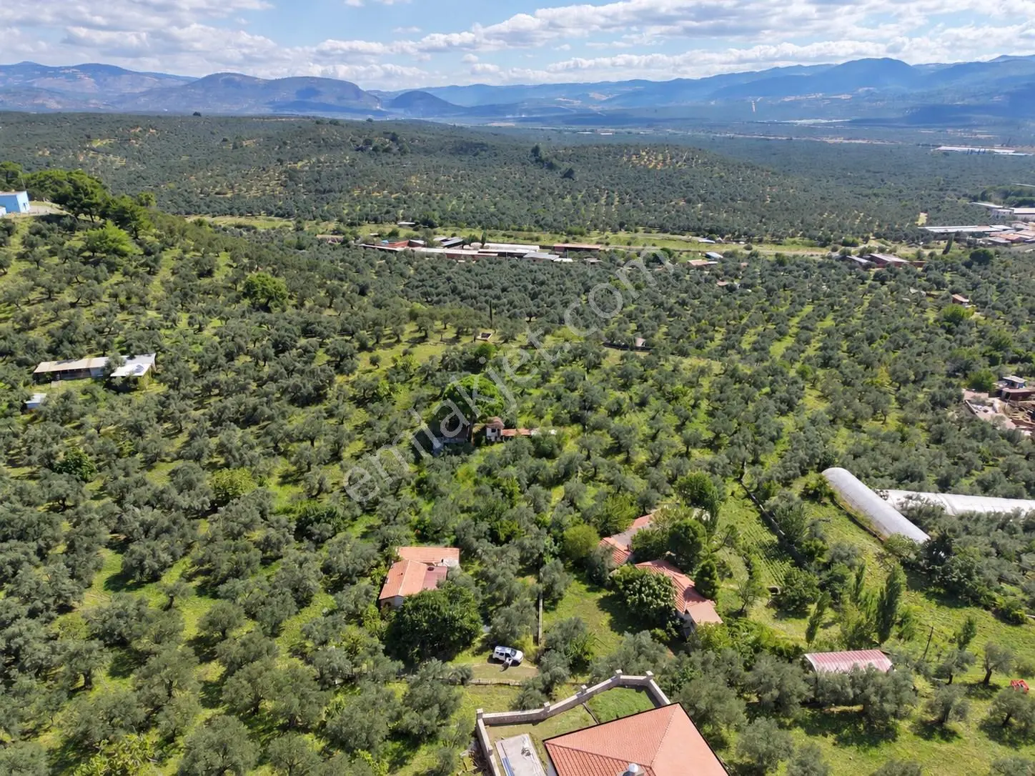 Mera Emlaktan Havran Temaşalık 1.400m2 10 Villalık İmaralı Arsa — fotoğraf 13