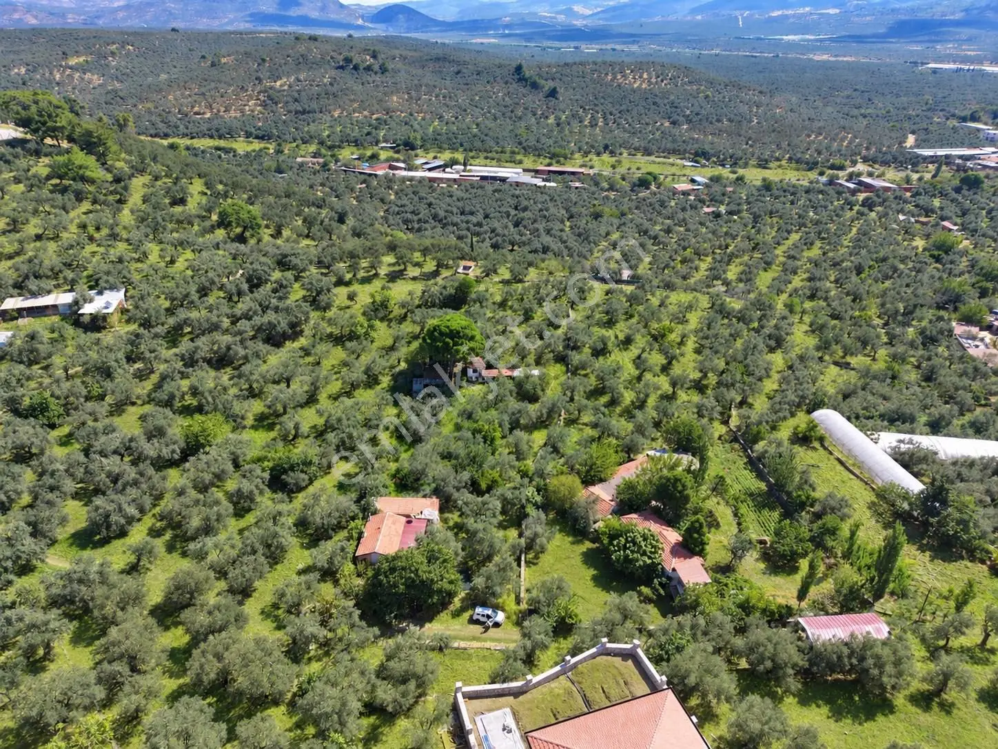 Mera Emlaktan Havran Temaşalık 1.400m2 10 Villalık İmaralı Arsa — fotoğraf 15