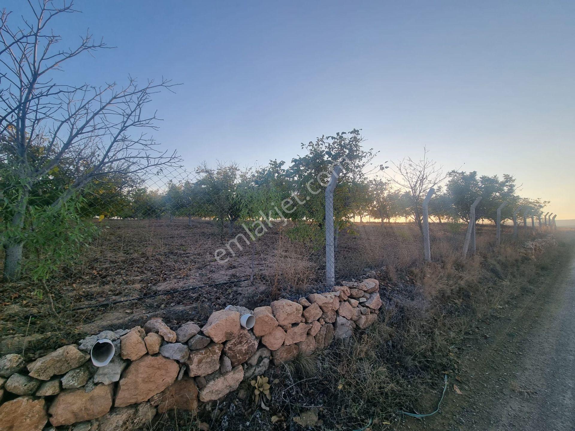 Meram Çayırbağı’nda Hakiki Bir Yatırım Ve Yaşam Fırsatı ! 10.737 M2 Müstakil — fotoğraf 6