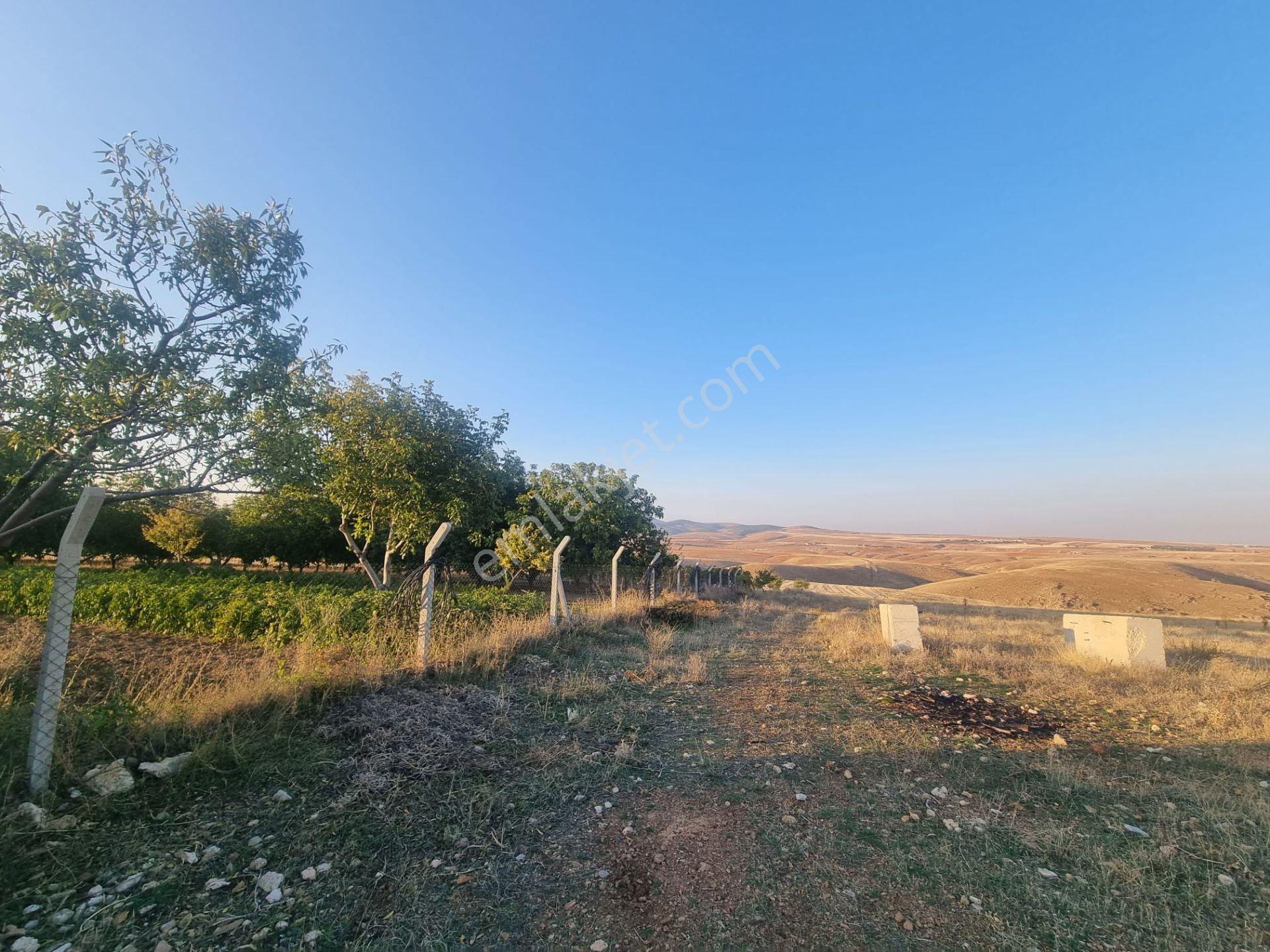 Meram Çayırbağı’nda Hakiki Bir Yatırım Ve Yaşam Fırsatı ! 10.737 M2 Müstakil — fotoğraf 10