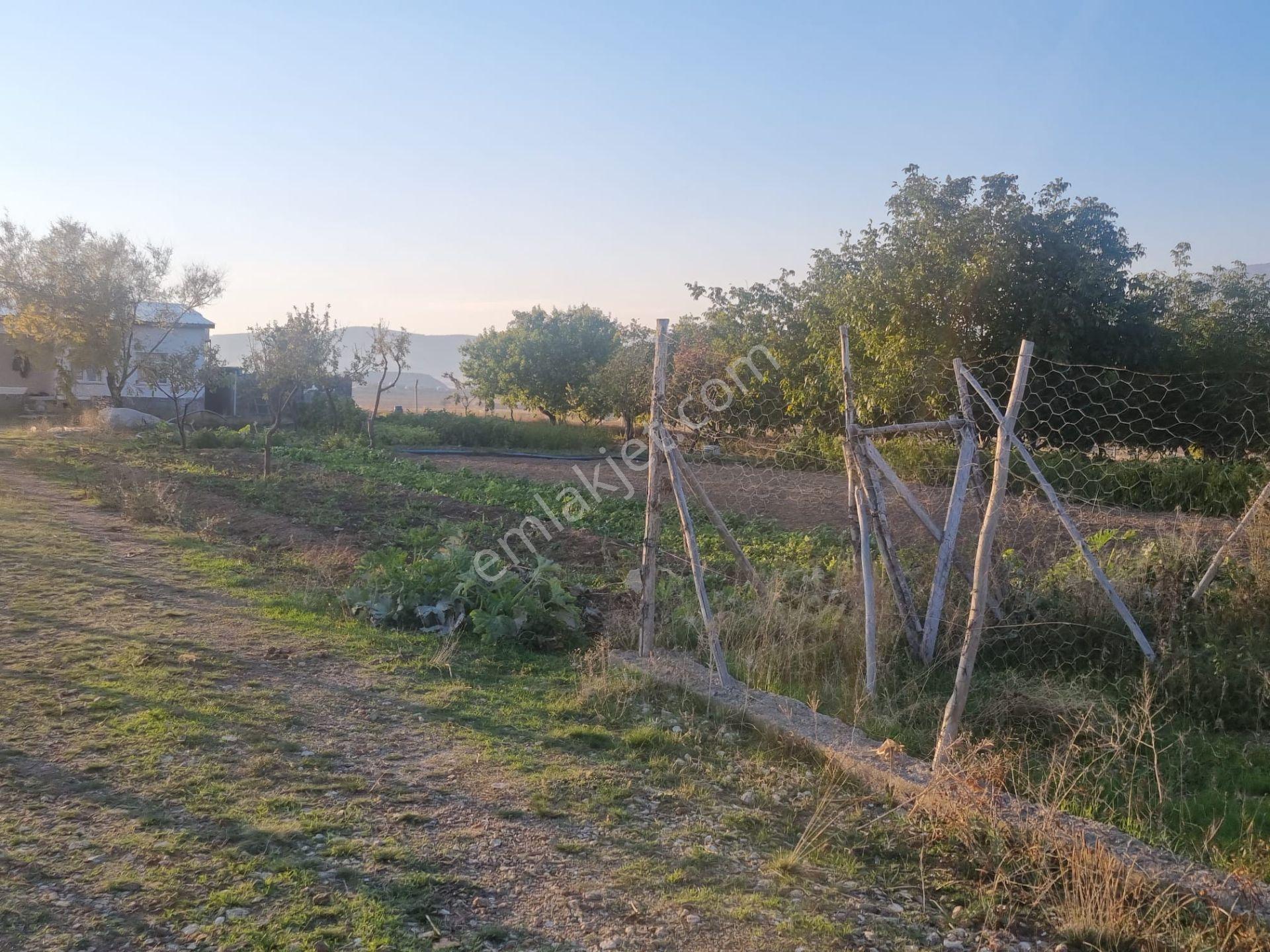 Meram Çayırbağı’nda Hakiki Bir Yatırım Ve Yaşam Fırsatı ! 10.737 M2 Müstakil — fotoğraf 11