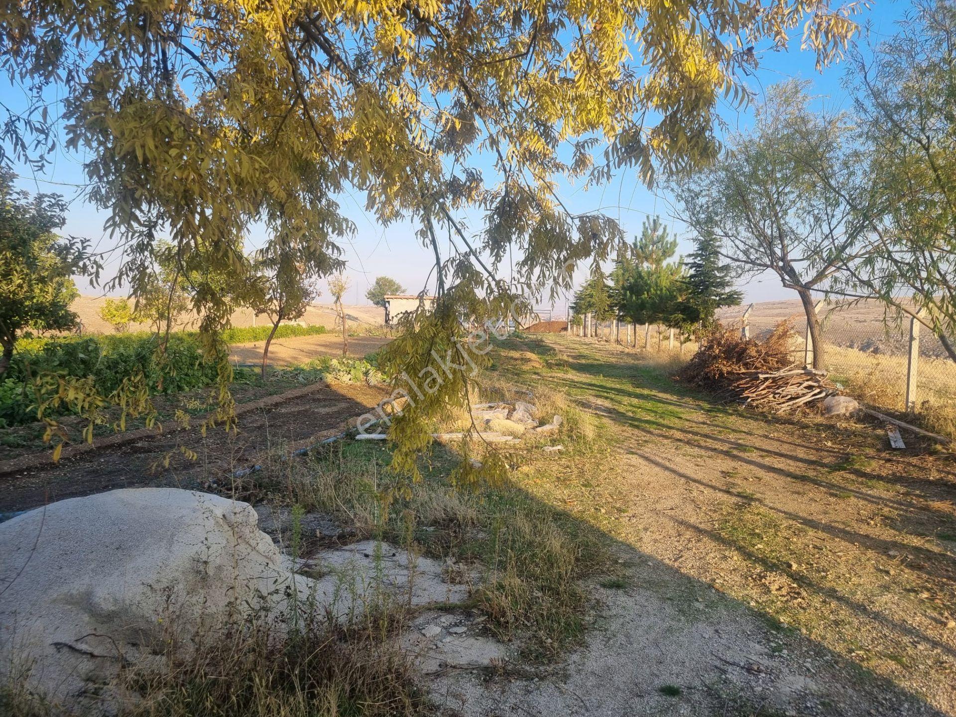 Meram Çayırbağı’nda Hakiki Bir Yatırım Ve Yaşam Fırsatı ! 10.737 M2 Müstakil — fotoğraf 13