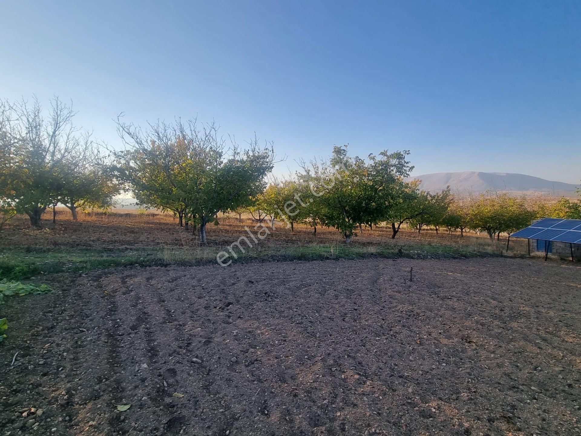 Meram Çayırbağı’nda Hakiki Bir Yatırım Ve Yaşam Fırsatı ! 10.737 M2 Müstakil — fotoğraf 14