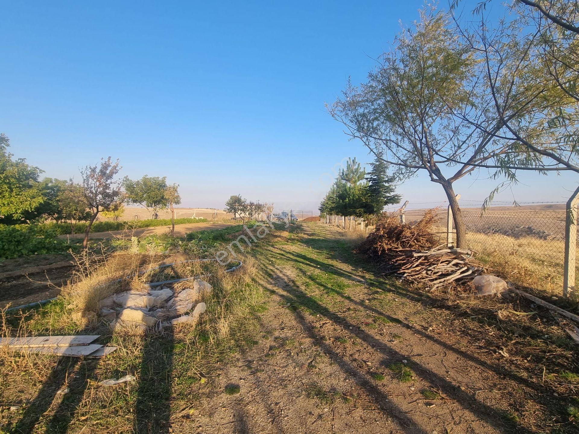 Meram Çayırbağı’nda Hakiki Bir Yatırım Ve Yaşam Fırsatı ! 10.737 M2 Müstakil — fotoğraf 15