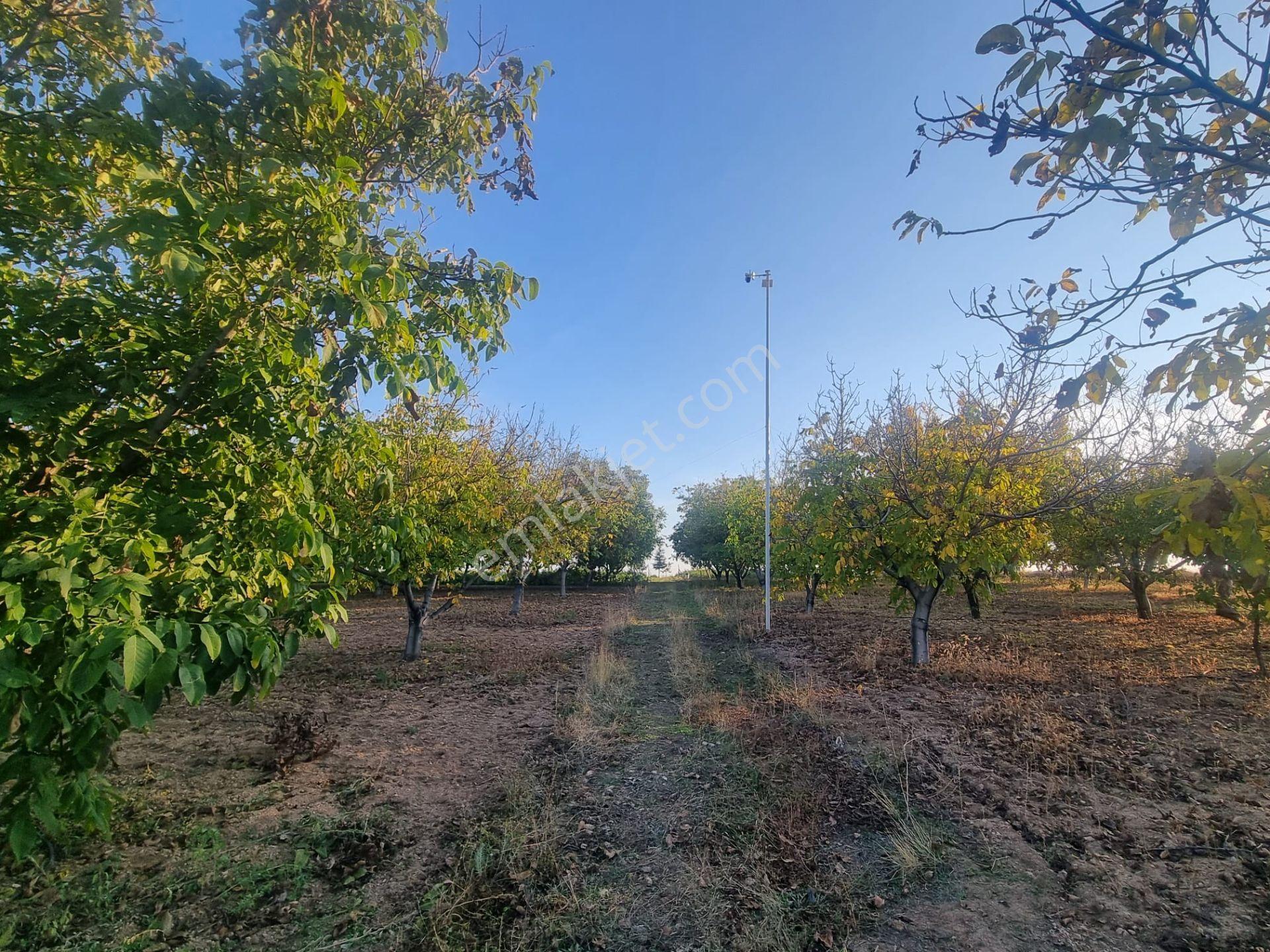 Meram Çayırbağı’nda Hakiki Bir Yatırım Ve Yaşam Fırsatı ! 10.737 M2 Müstakil — fotoğraf 30