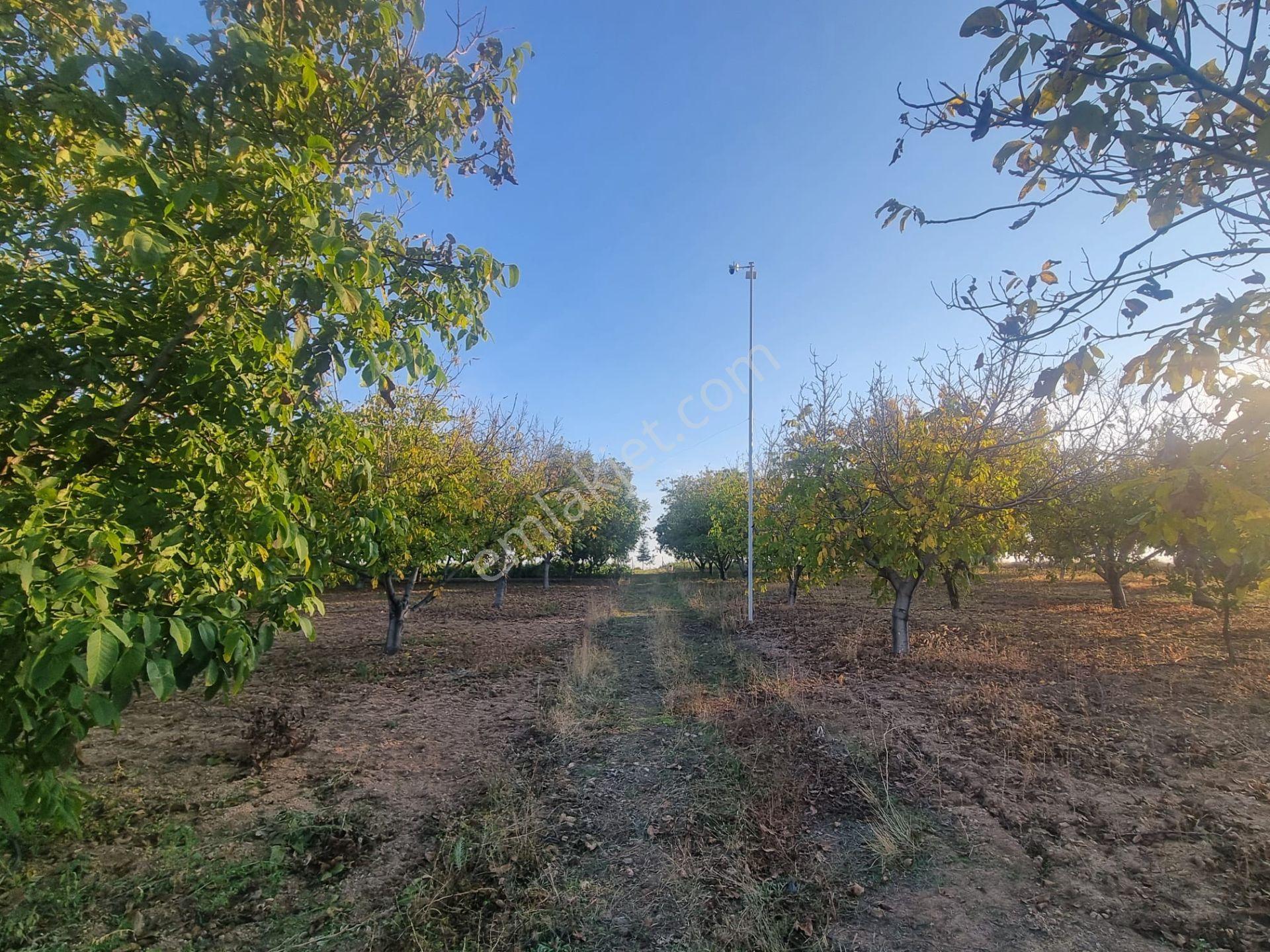 Meram Çayırbağı’nda Hakiki Bir Yatırım Ve Yaşam Fırsatı ! 10.737 M2 Müstakil — fotoğraf 31