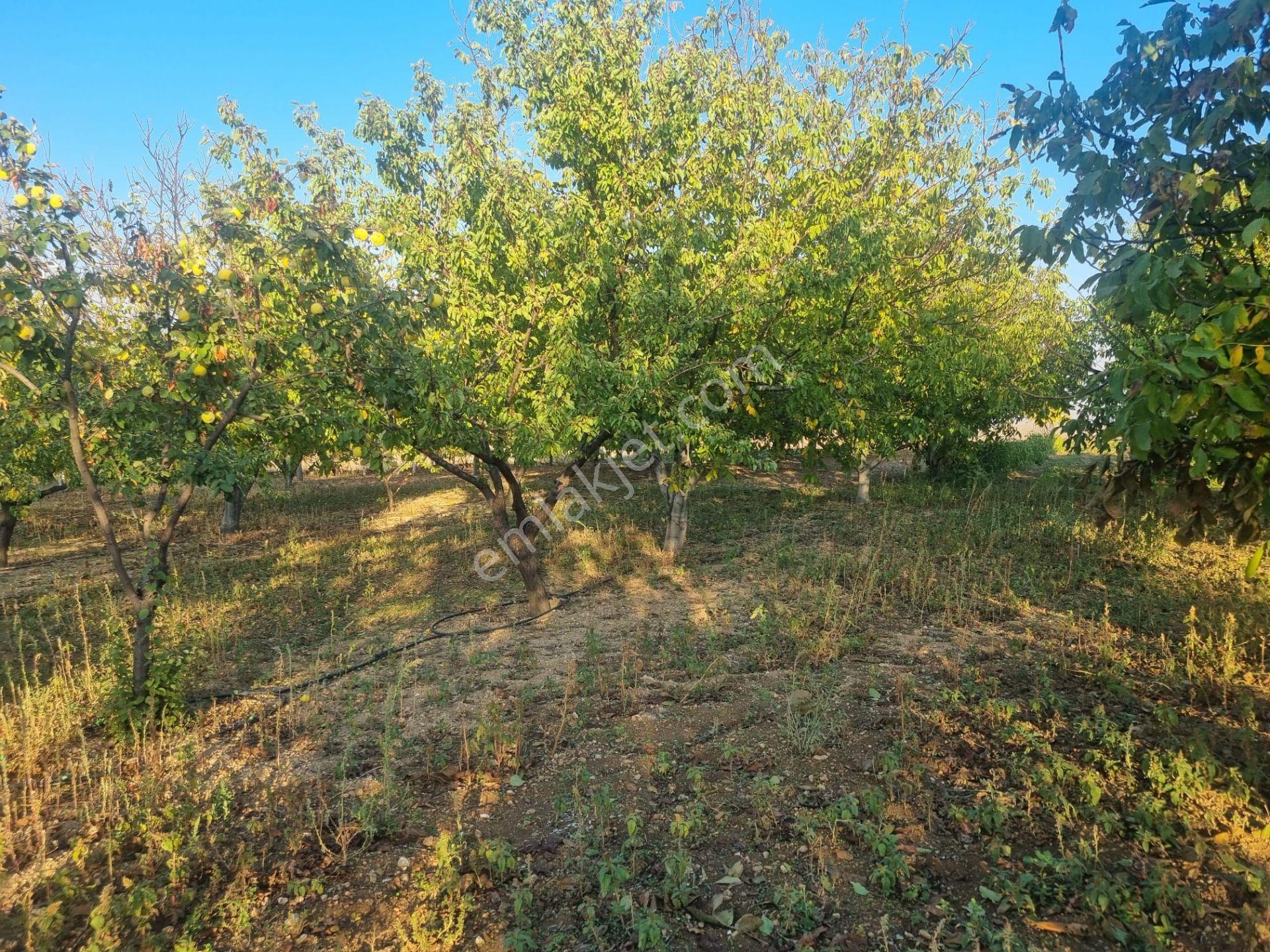 Meram Çayırbağı’nda Hakiki Bir Yatırım Ve Yaşam Fırsatı ! 10.737 M2 Müstakil — fotoğraf 32