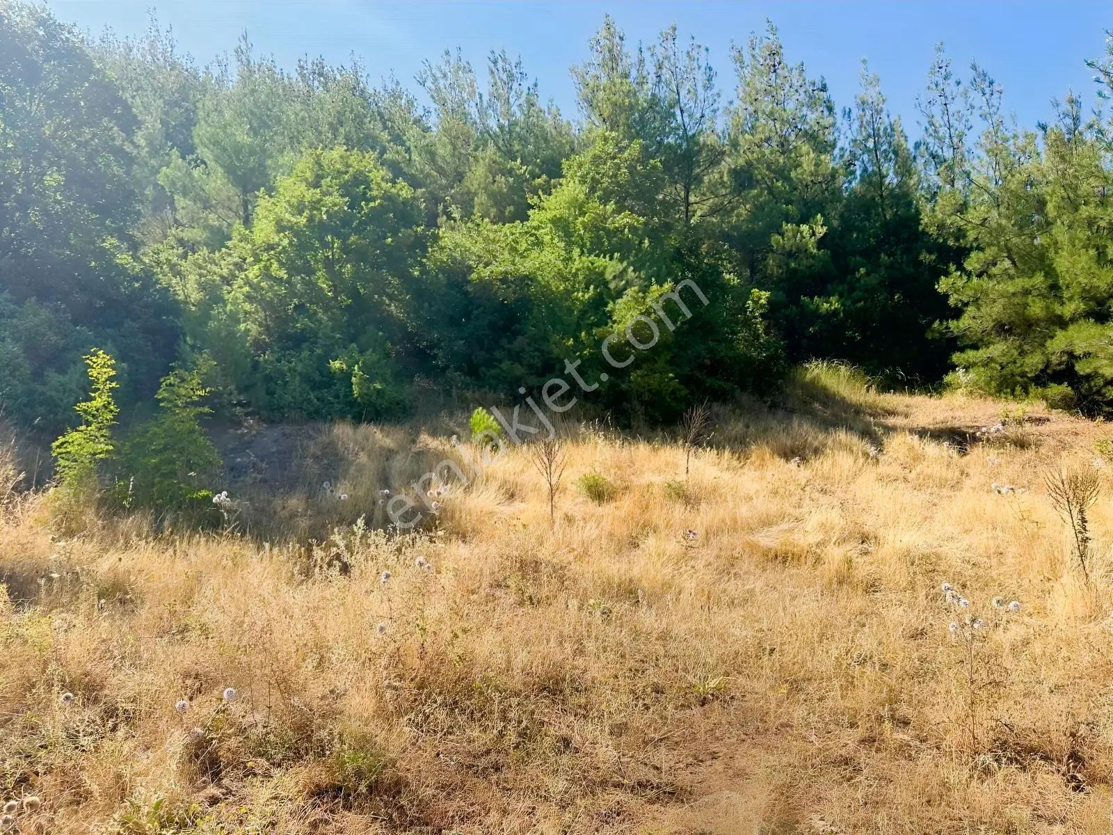 Balıkesir Kepsut Gökköy'de Müstail Villa İmarlı 0.50 Emsal Arsa — fotoğraf 7