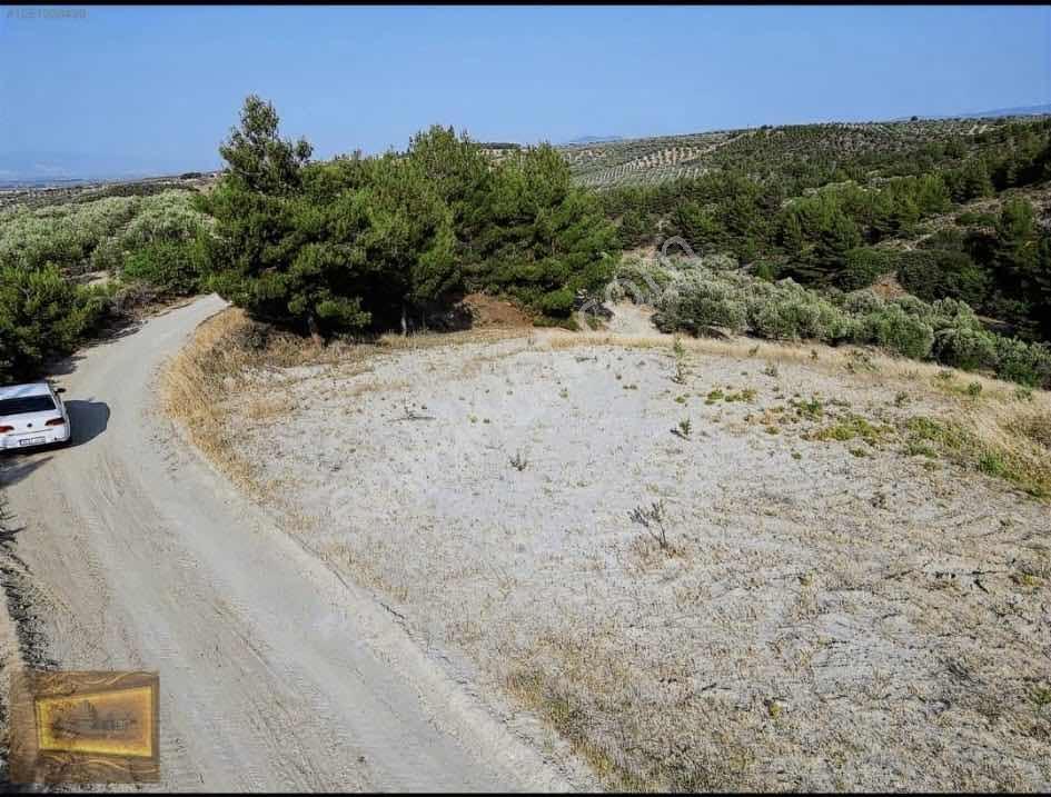 Saruhanlıda 13.660M2 Resmi Yolu Olan Satılık Bahçe