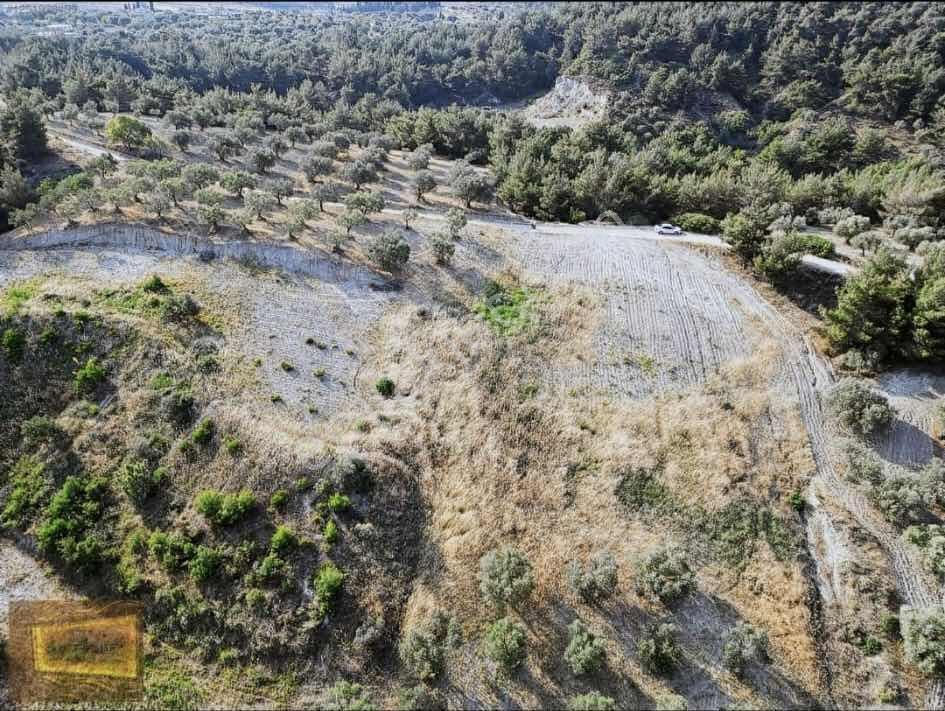 Saruhanlıda 13.660m2 Resmi Yolu Olan Satılık Bahçe — fotoğraf 2