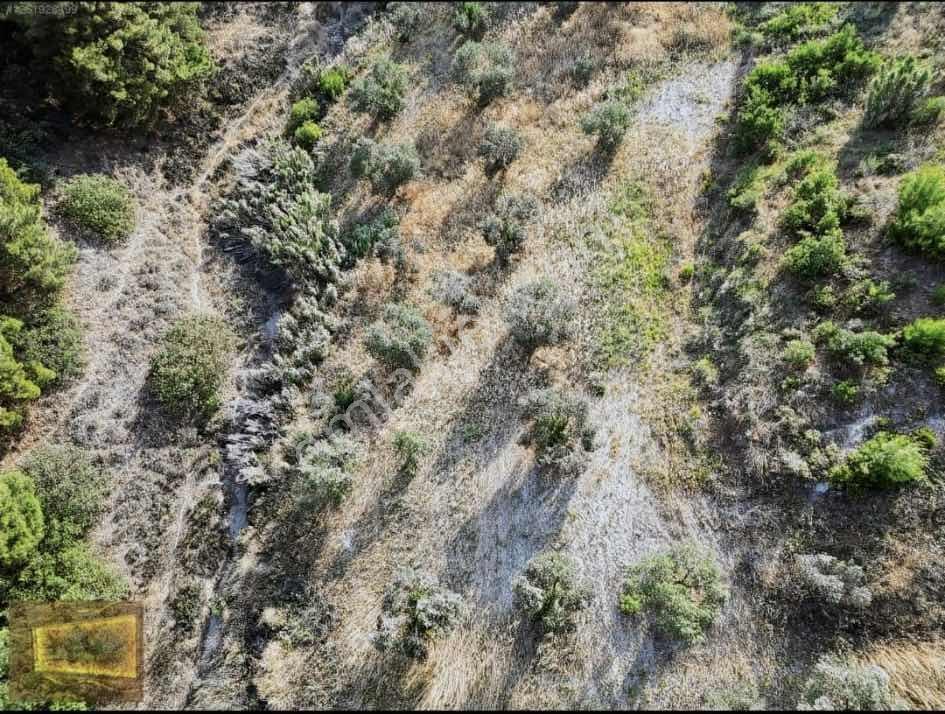 Saruhanlıda 13.660m2 Resmi Yolu Olan Satılık Bahçe — fotoğraf 7