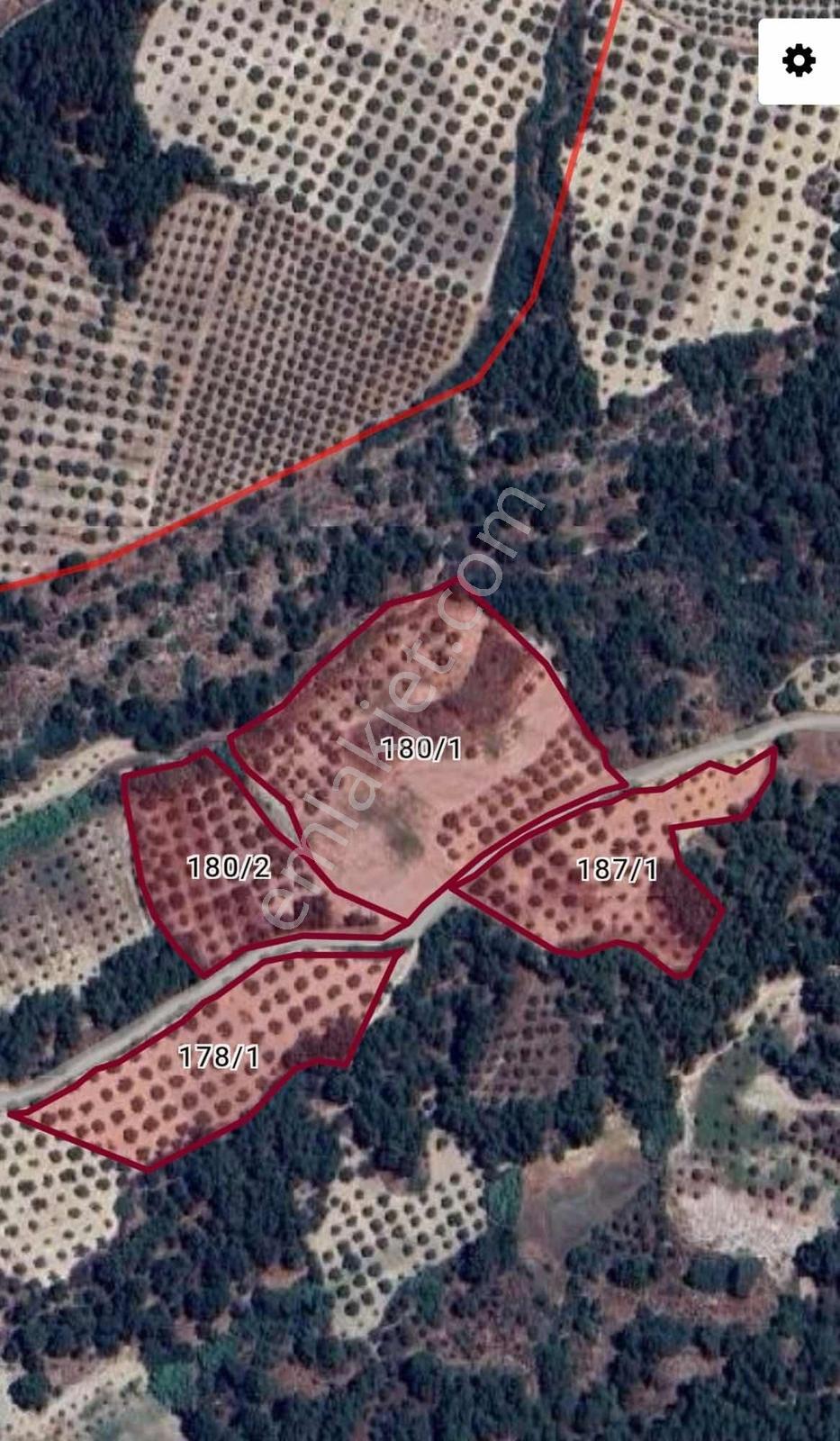 Saruhanlıda 13.660m2 Resmi Yolu Olan Satılık Bahçe — fotoğraf 10