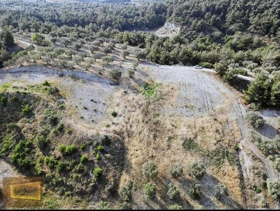Saruhanlıda 13.660m2 Resmi Yolu Olan Satılık Bahçe — fotoğraf 12