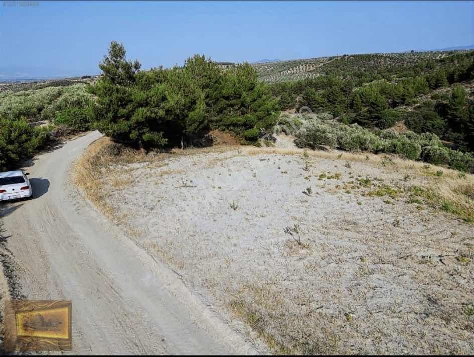 Saruhanlıda 13.660m2 Resmi Yolu Olan Satılık Bahçe — fotoğraf 14