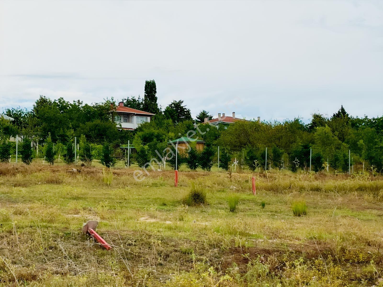 Vize Develi Köyünde 1.262 M2 Müstakil Tek Tapu Satılık Arsa — fotoğraf 16