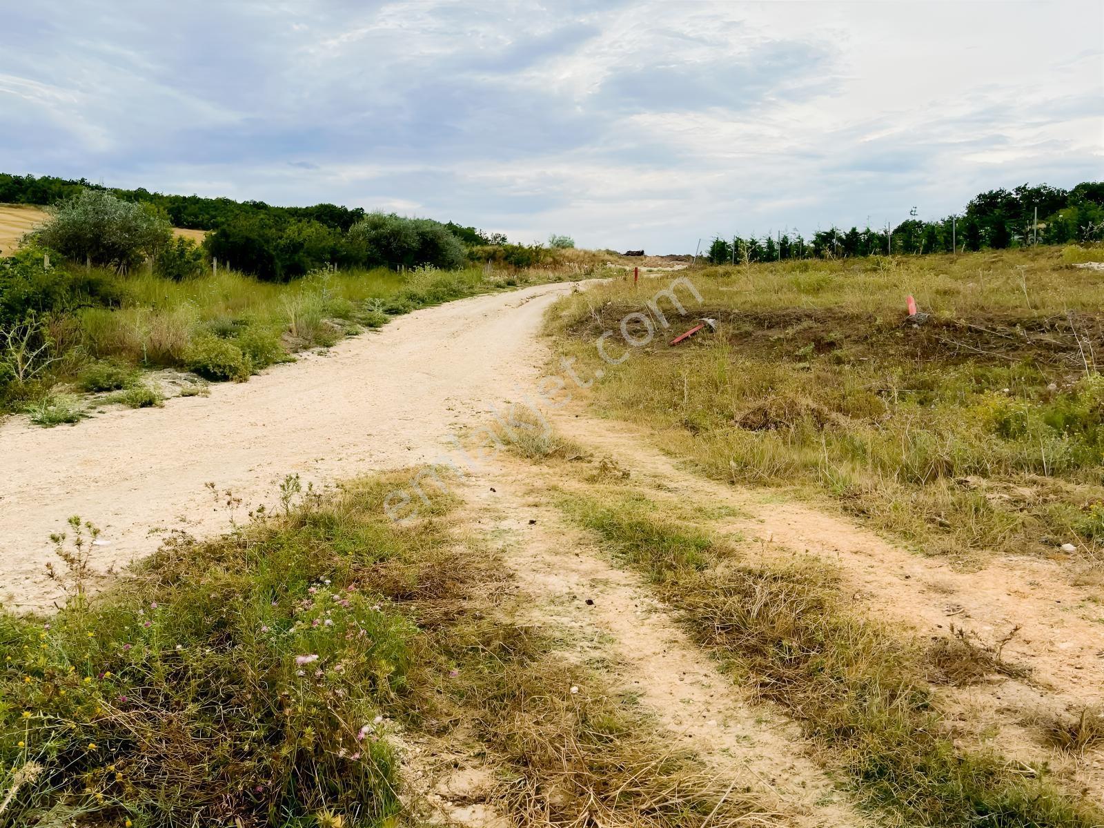 Vize Develi Köyünde 1.262 M2 Müstakil Tek Tapu Satılık Arsa — fotoğraf 18