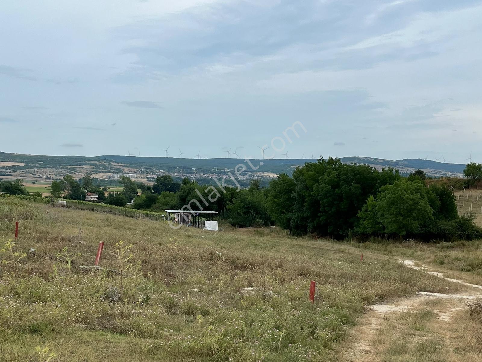 Vize Develi Köyünde 1.262 M2 Müstakil Tek Tapu Satılık Arsa — fotoğraf 20