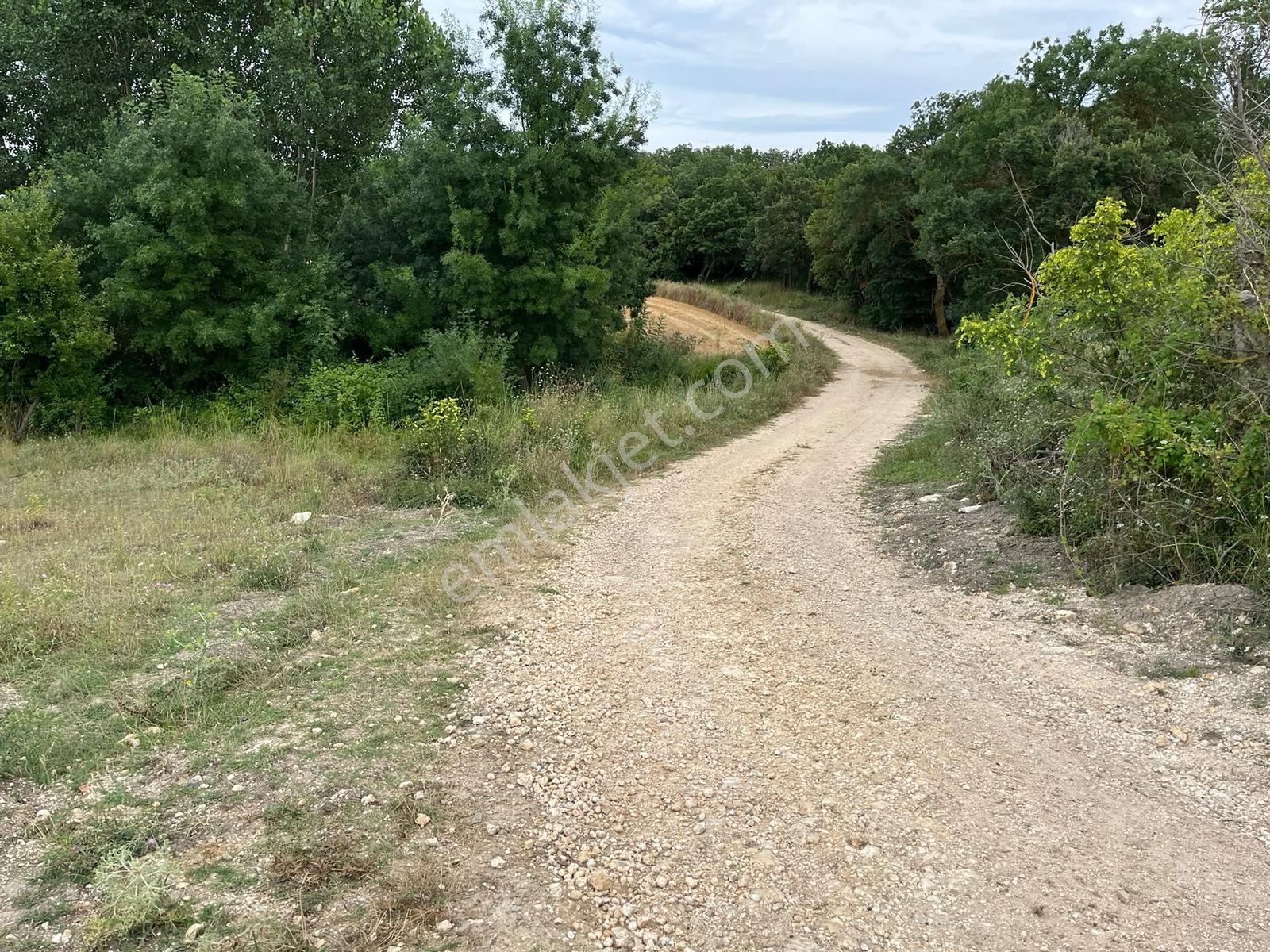 Vize Develi Köyünde 1.262 M2 Müstakil Tek Tapu Satılık Arsa — fotoğraf 23