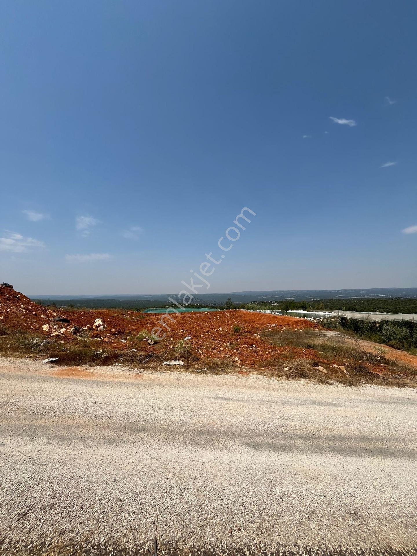 Esenpınarda Satılık 1 Dönüm Arsa — fotoğraf 3