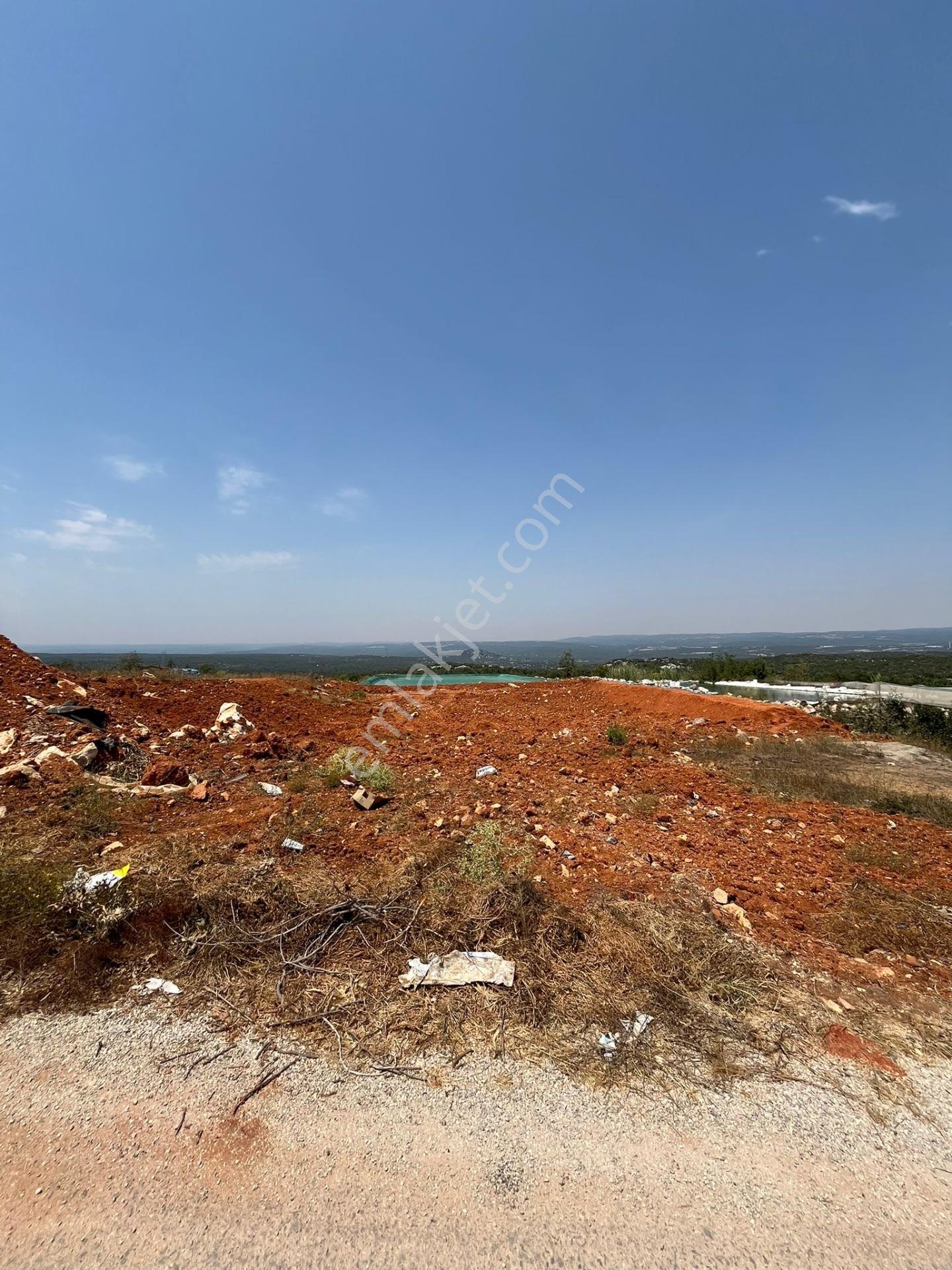 Esenpınarda Satılık 1 Dönüm Arsa — fotoğraf 4