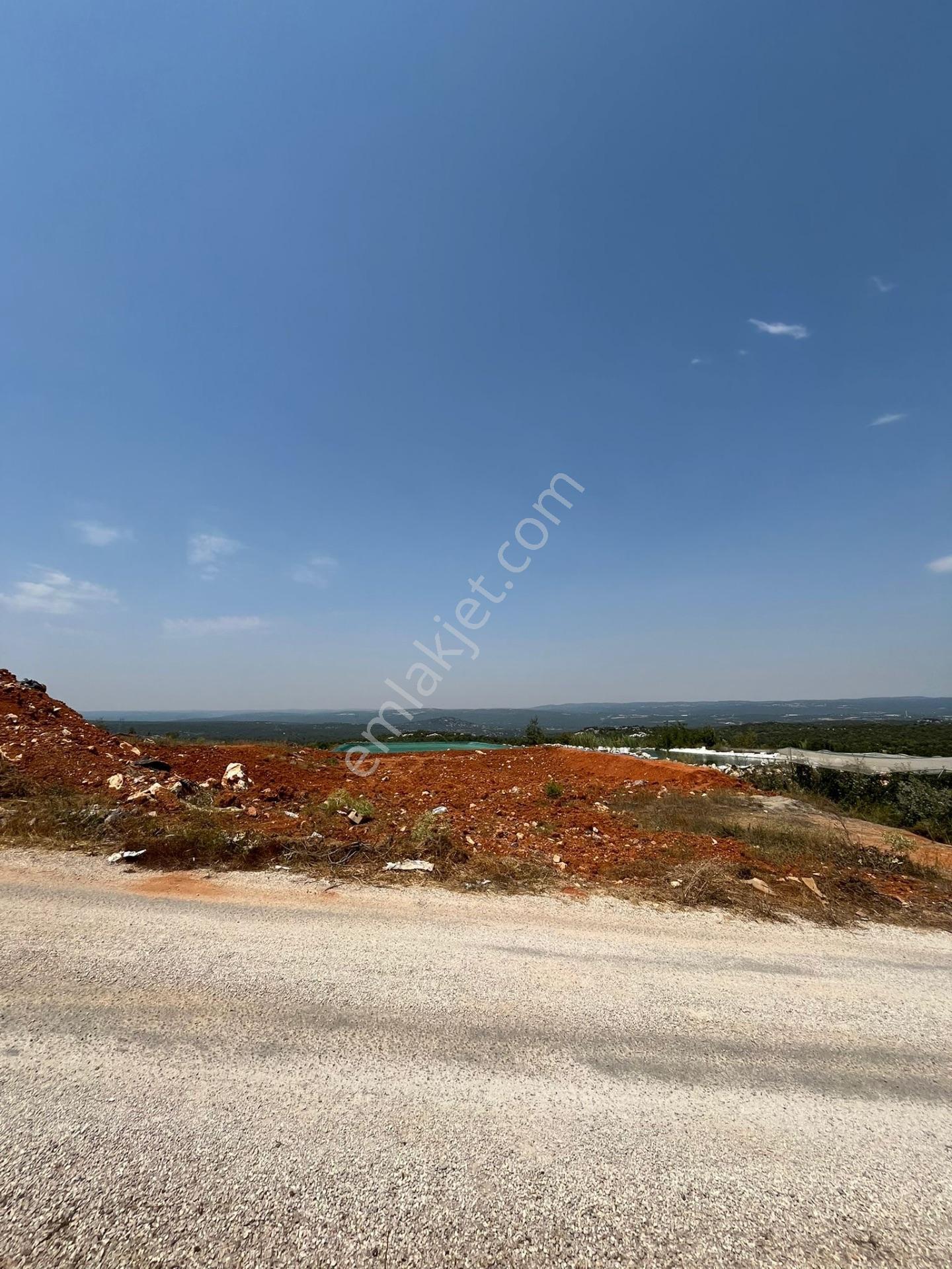 Esenpınarda Satılık 1 Dönüm Arsa — fotoğraf 5