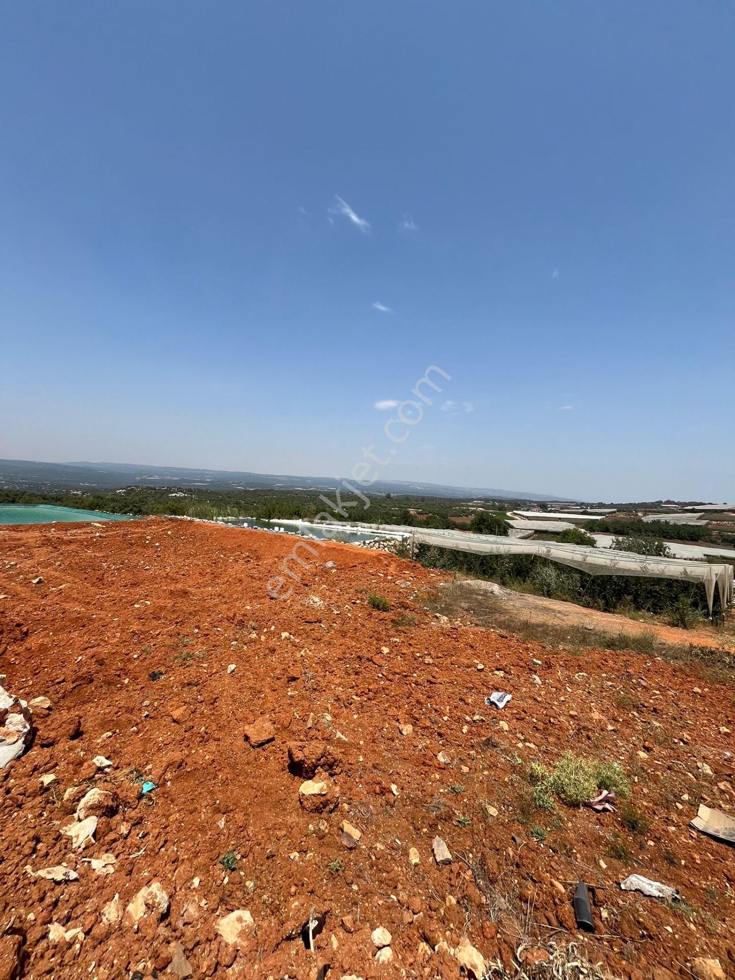Esenpınarda Satılık 1 Dönüm Arsa — fotoğraf 8
