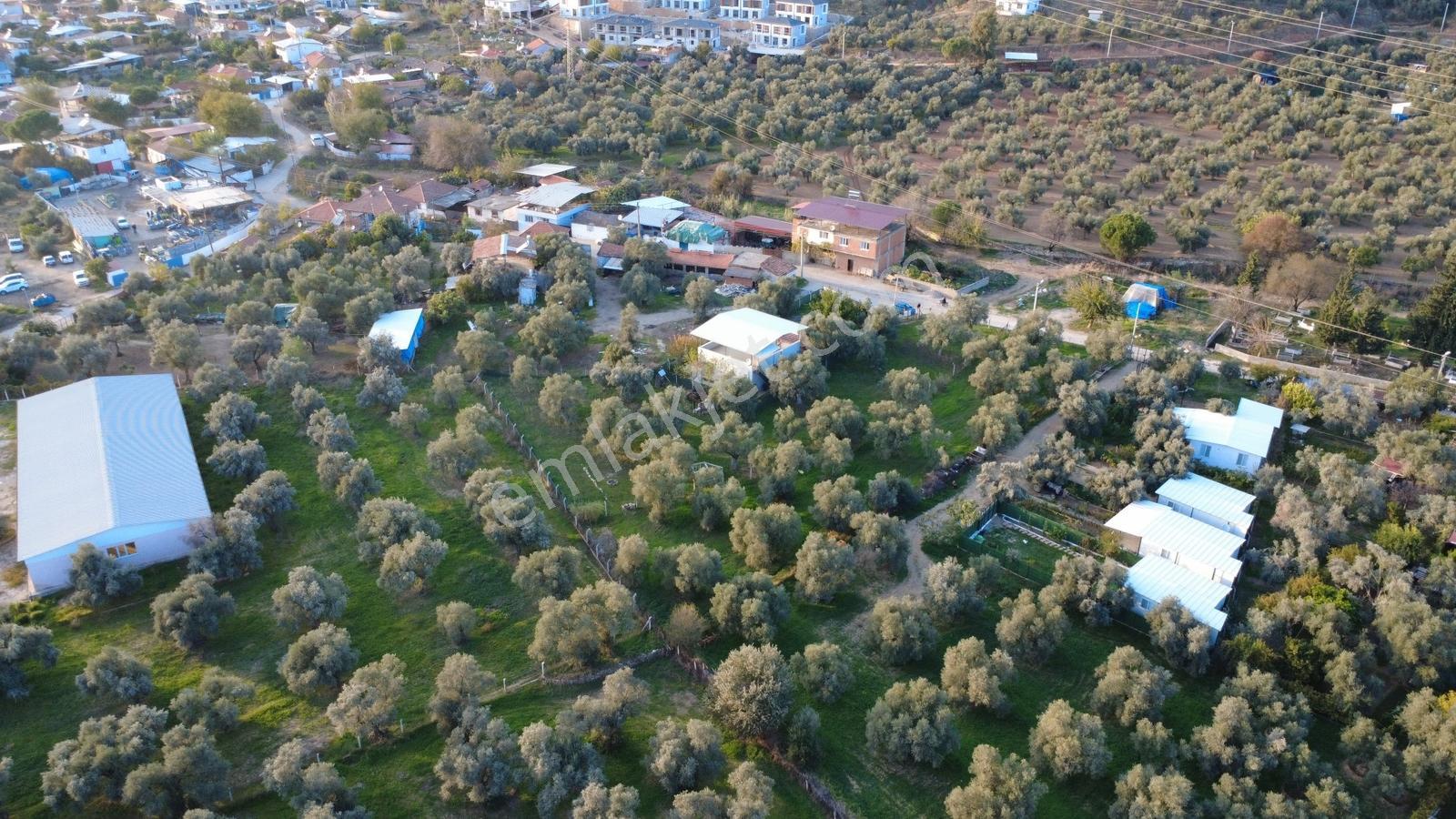 Procity'den Şehrin Gözdesi Kızılcaköy'de 1.425m2 Köy İmarlı Arsa — fotoğraf 12