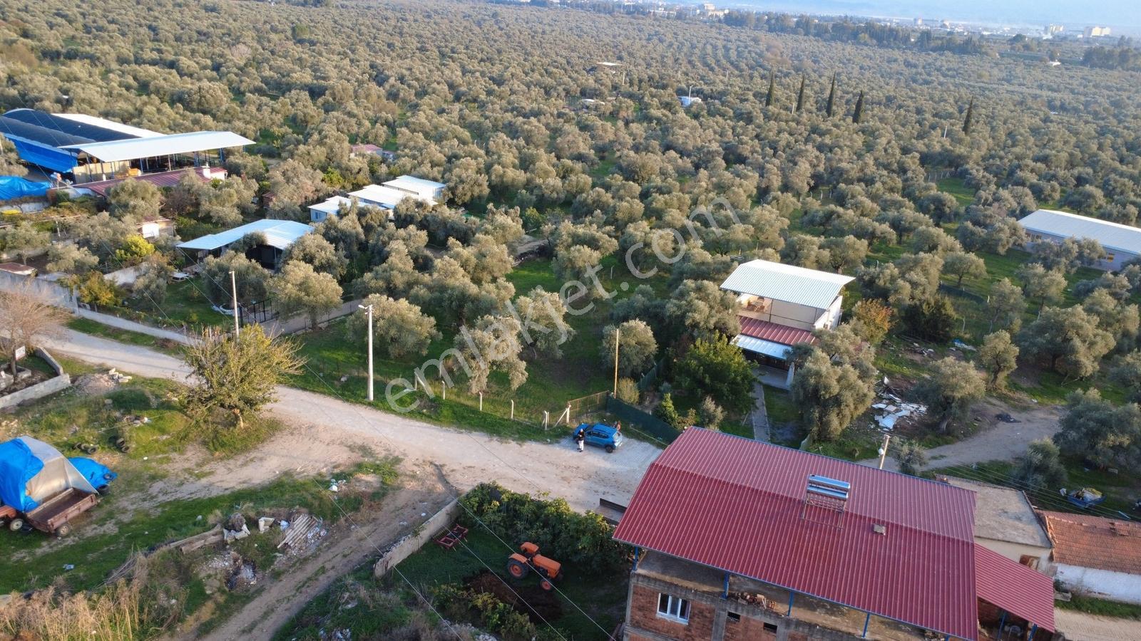 Procity'den Şehrin Gözdesi Kızılcaköy'de 1.425m2 Köy İmarlı Arsa — fotoğraf 14
