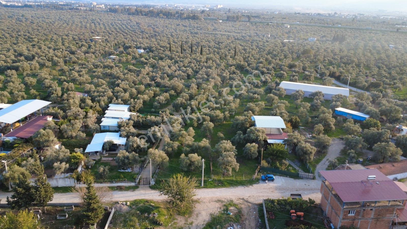 Procity'den Şehrin Gözdesi Kızılcaköy'de 1.425m2 Köy İmarlı Arsa — fotoğraf 15