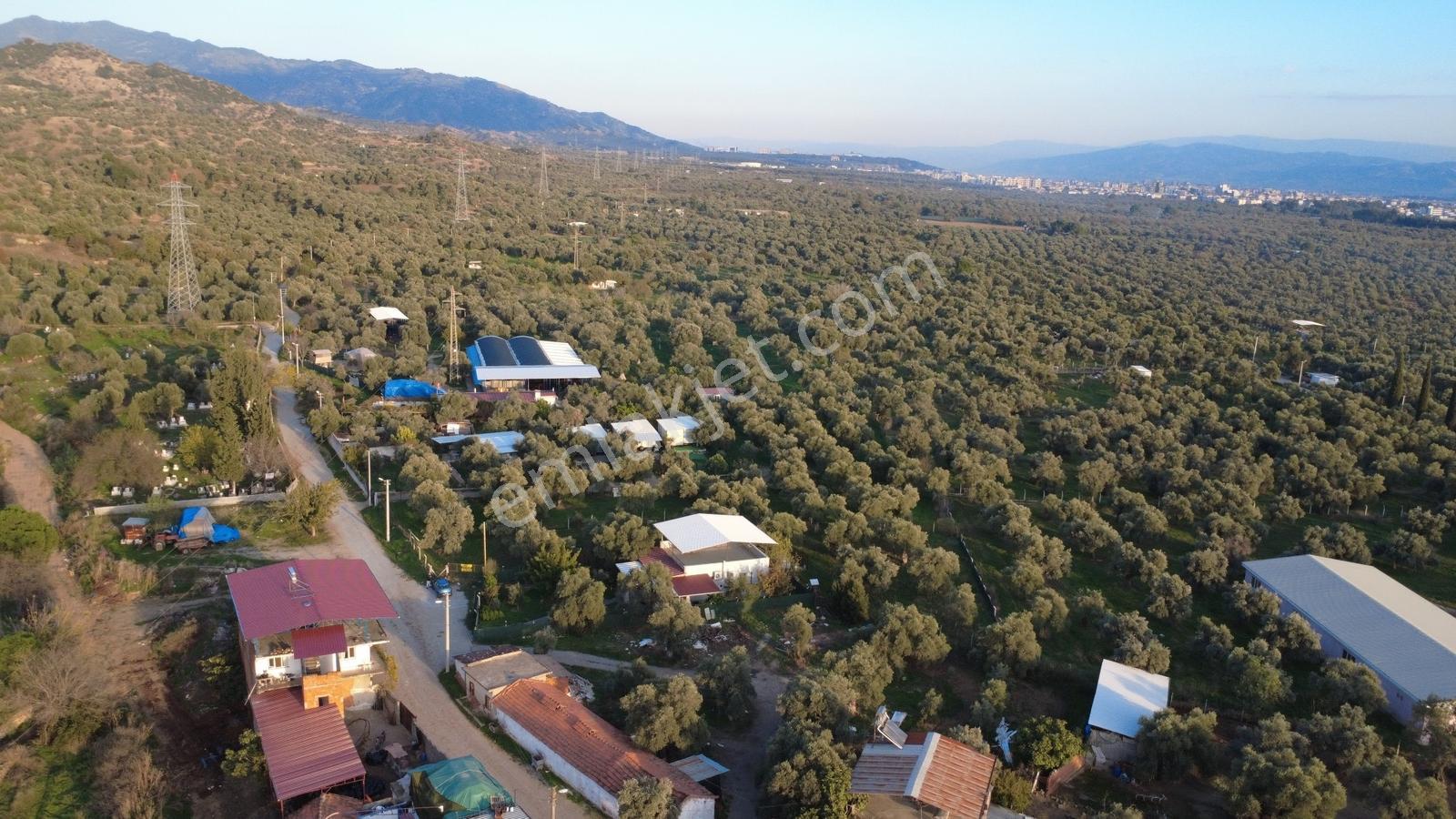 Procity'den Şehrin Gözdesi Kızılcaköy'de 1.425m2 Köy İmarlı Arsa — fotoğraf 16
