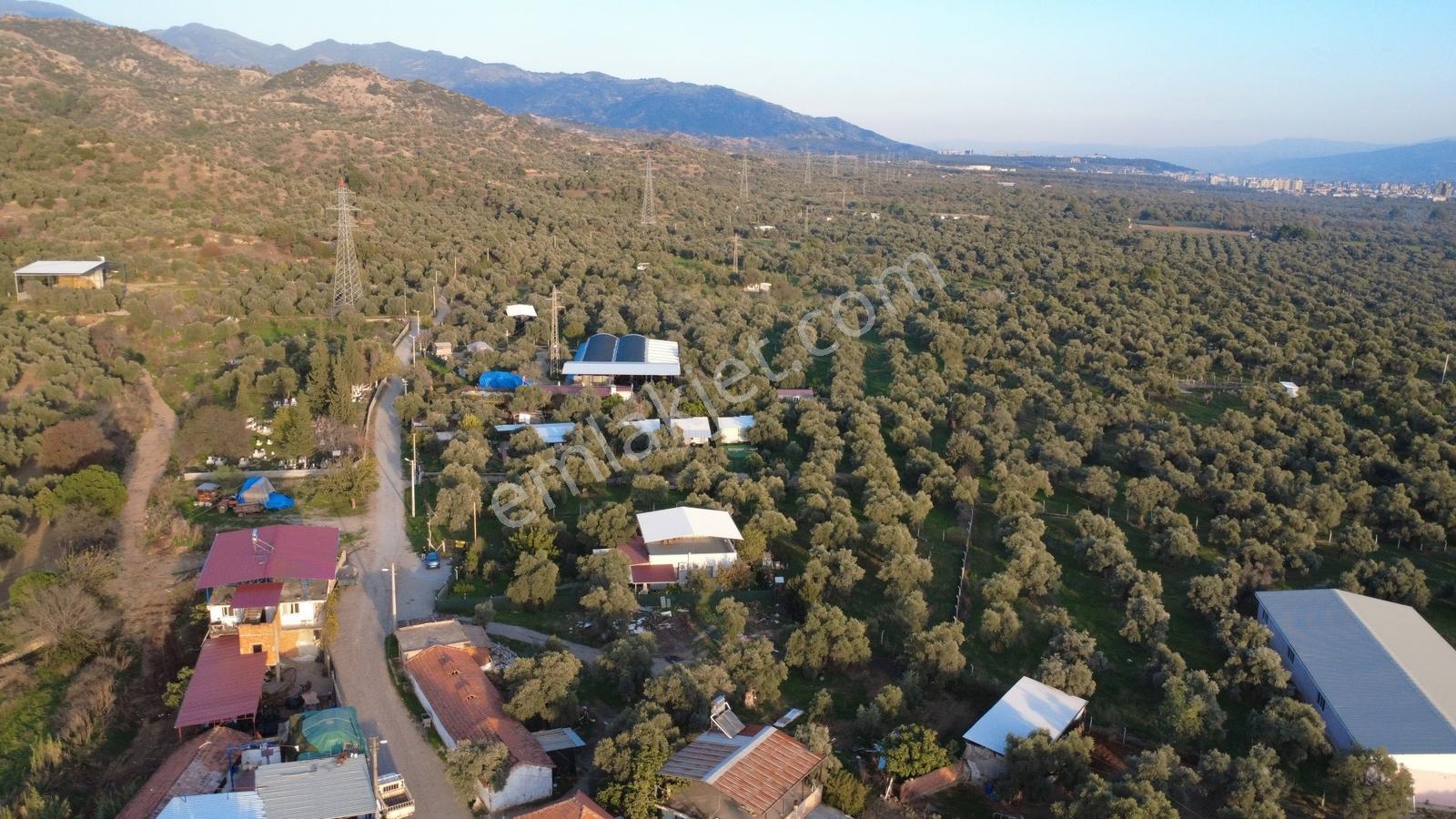 Procity'den Şehrin Gözdesi Kızılcaköy'de 1.425m2 Köy İmarlı Arsa — fotoğraf 17