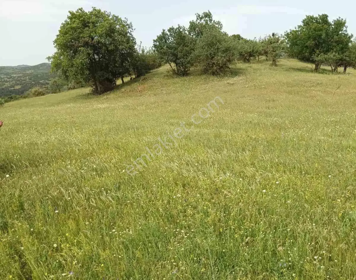 Remax Mid'den Çaygören Mah. Baraj Manzaralı Satılık Tarla — fotoğraf 2