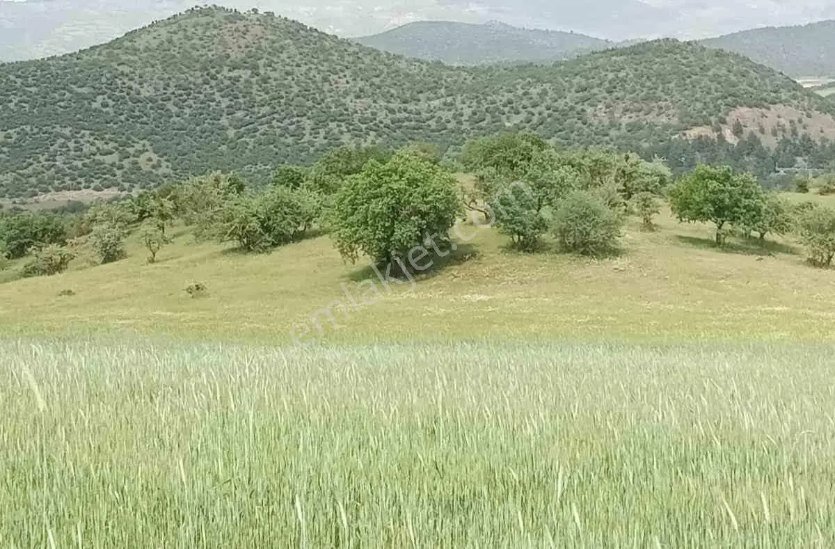 Remax Mid'den Çaygören Mah. Baraj Manzaralı Satılık Tarla — fotoğraf 3