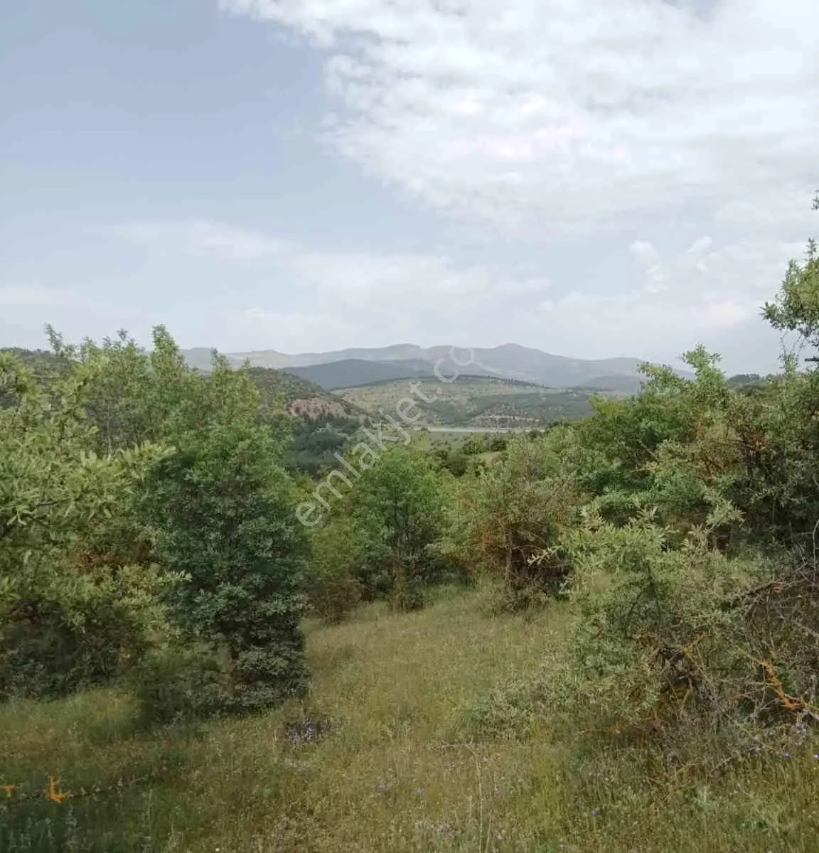 Remax Mid'den Çaygören Mah. Baraj Manzaralı Satılık Tarla — fotoğraf 4