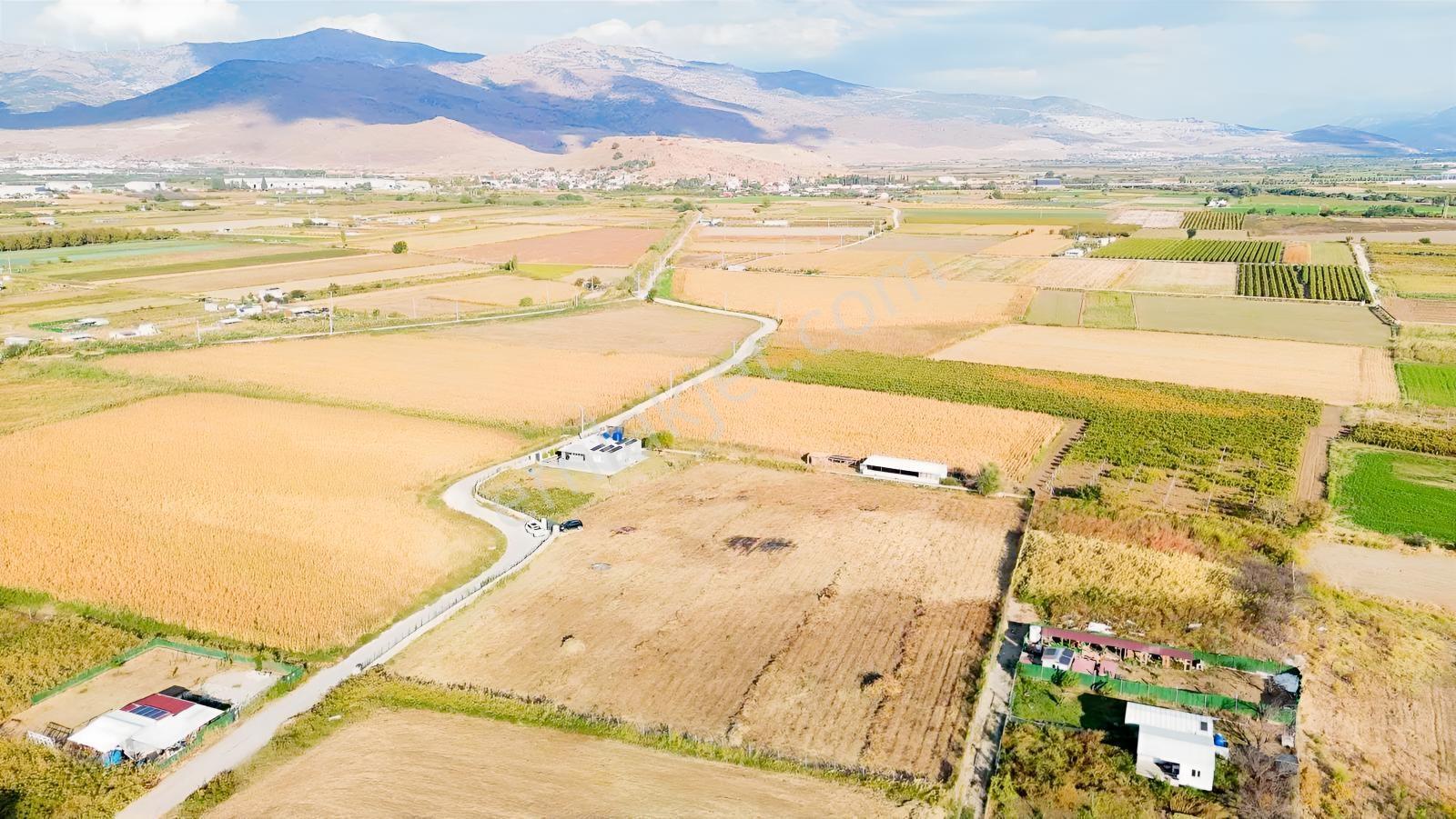 Menemen Türkelli'de Tarım+hayvancılığa Uygun ,evli Satılık Arazi — fotoğraf 6