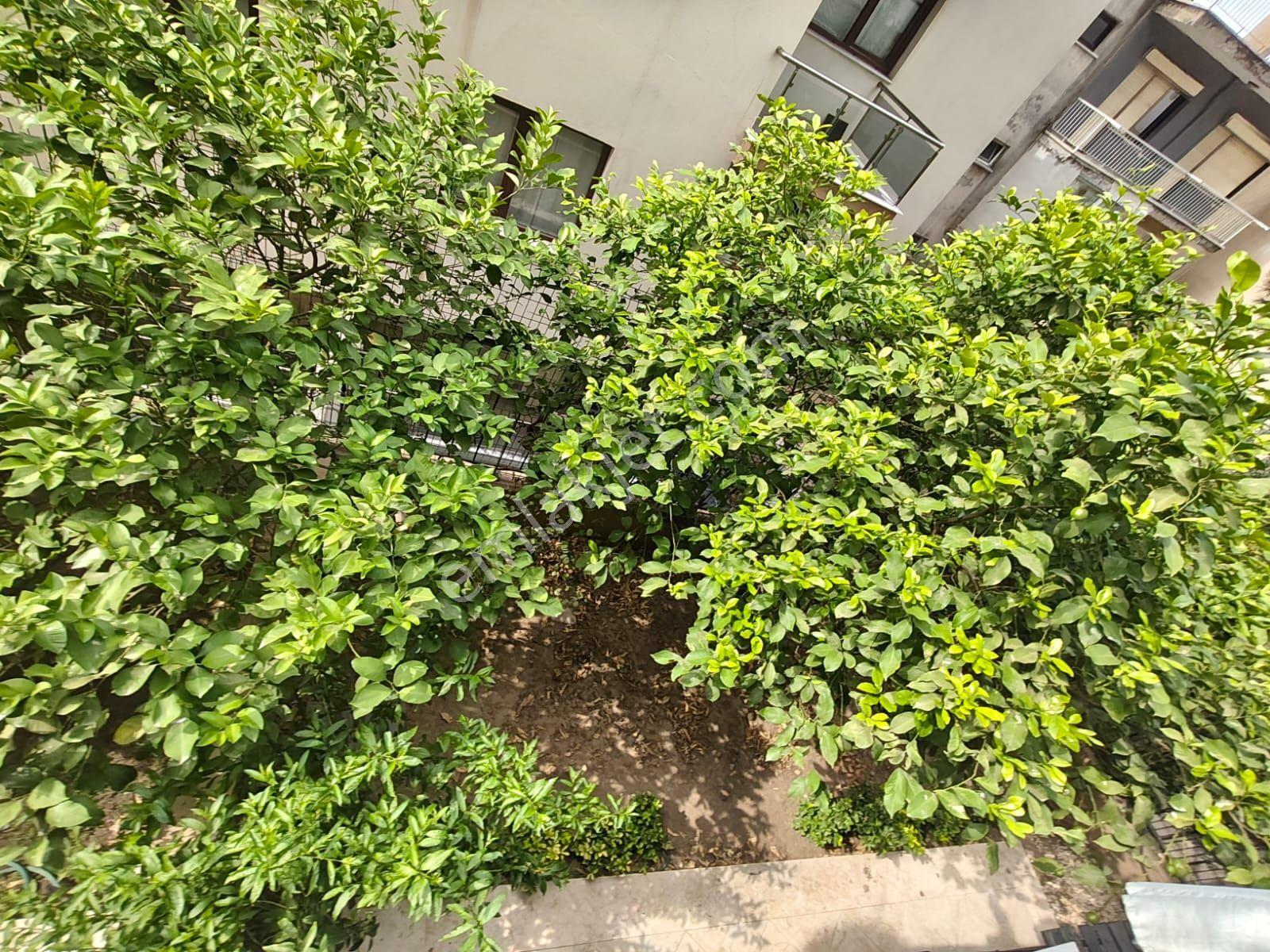 Küçük Çiğli 4+1 Bahçe Dubleksi Kapalı Otoparklı Daire — fotoğraf 20