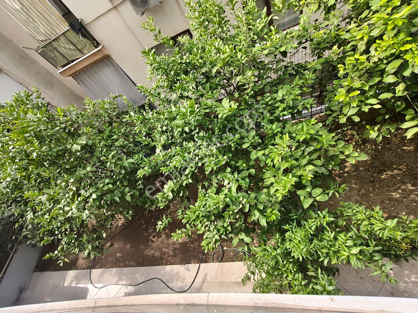 Küçük Çiğli 4+1 Bahçe Dubleksi Kapalı Otoparklı Daire — fotoğraf 21