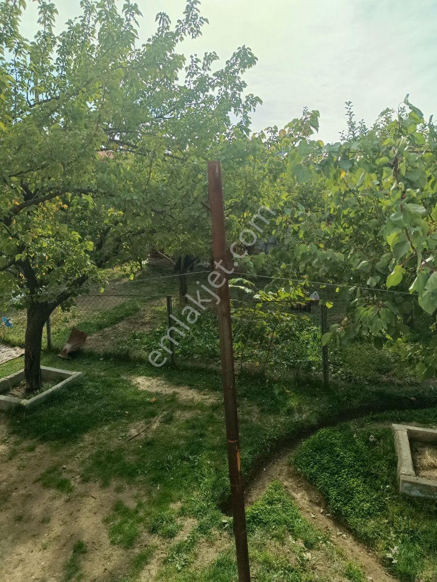 Şerefiye Mh. Satılık 800 M2 Arsa 4 Daire 300 M2 Ağaçlı Bahçe — fotoğraf 3