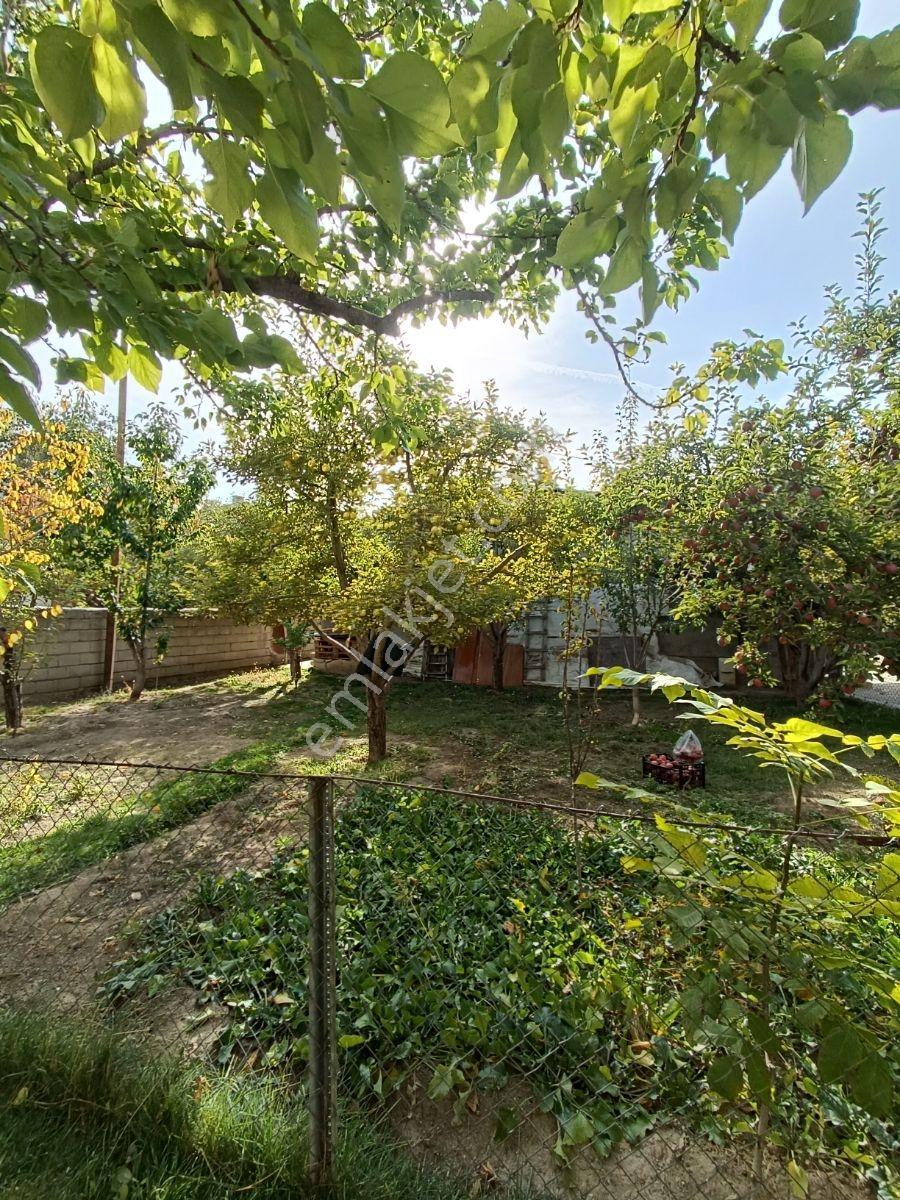 Şerefiye Mh. Satılık 800 M2 Arsa 4 Daire 300 M2 Ağaçlı Bahçe — fotoğraf 6