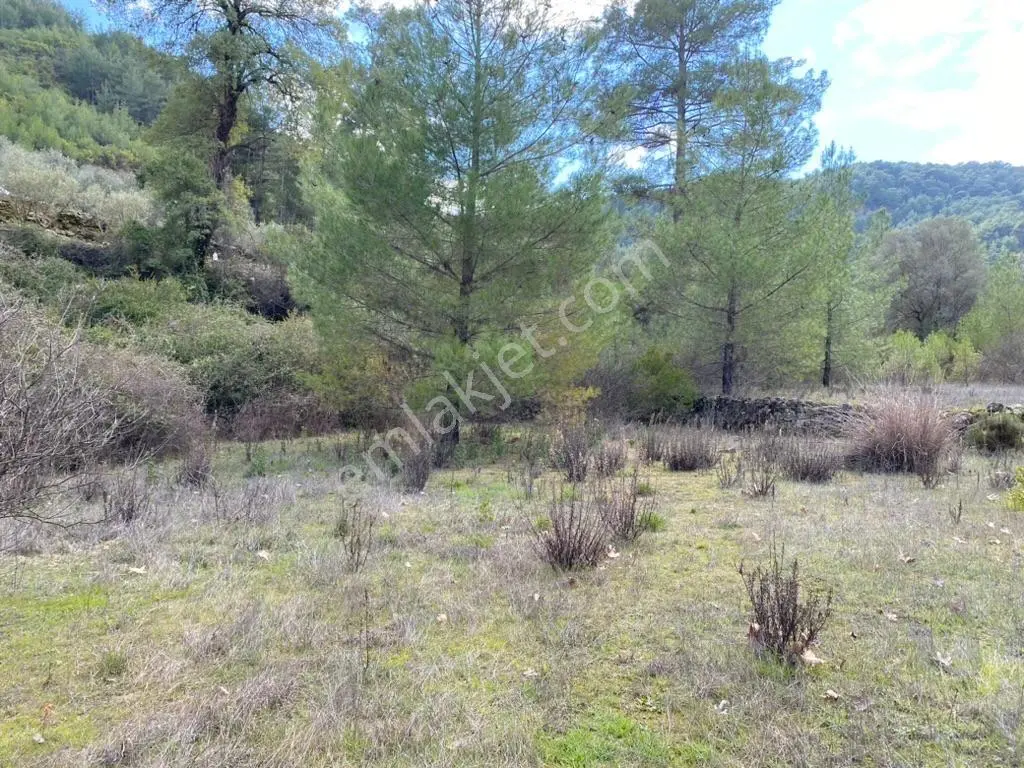 Antalya Kaş Kemer’de 3.298 M² Müstakıl Tapulu Satılık Tarla — fotoğraf 4