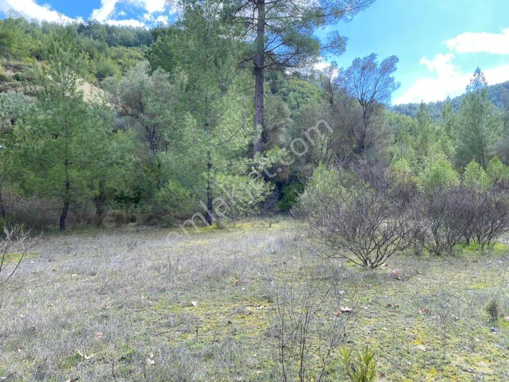 Antalya Kaş Kemer’de 3.298 M² Müstakıl Tapulu Satılık Tarla — fotoğraf 7