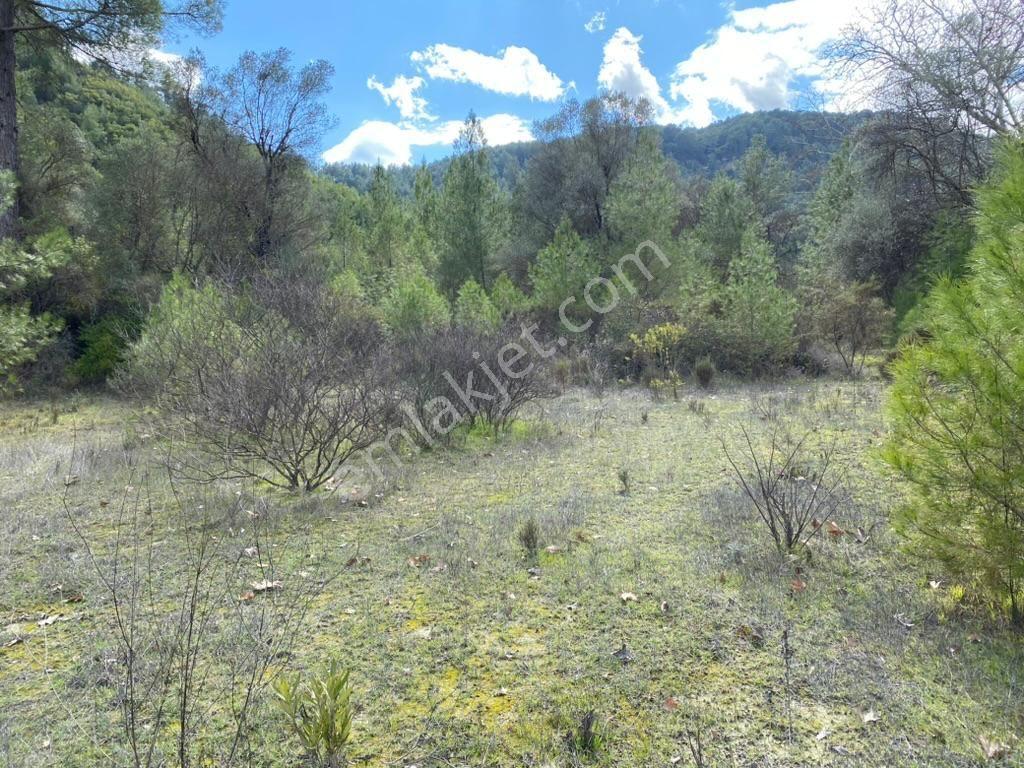 Antalya Kaş Kemer’de 3.298 M² Müstakıl Tapulu Satılık Tarla — fotoğraf 10