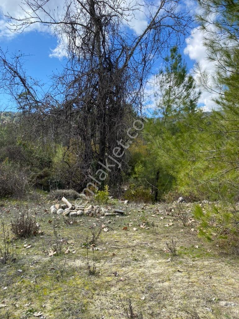 Antalya Kaş Kemer’de 3.298 M² Müstakıl Tapulu Satılık Tarla — fotoğraf 14