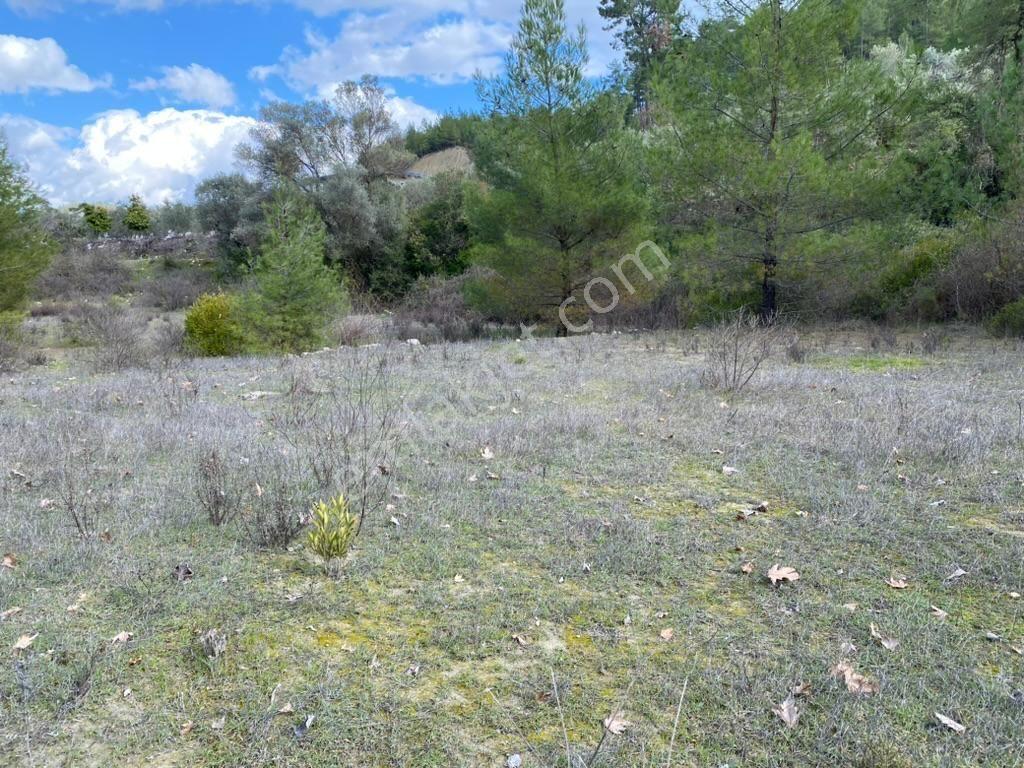 Antalya Kaş Kemer’de 3.298 M² Müstakıl Tapulu Satılık Tarla — fotoğraf 15