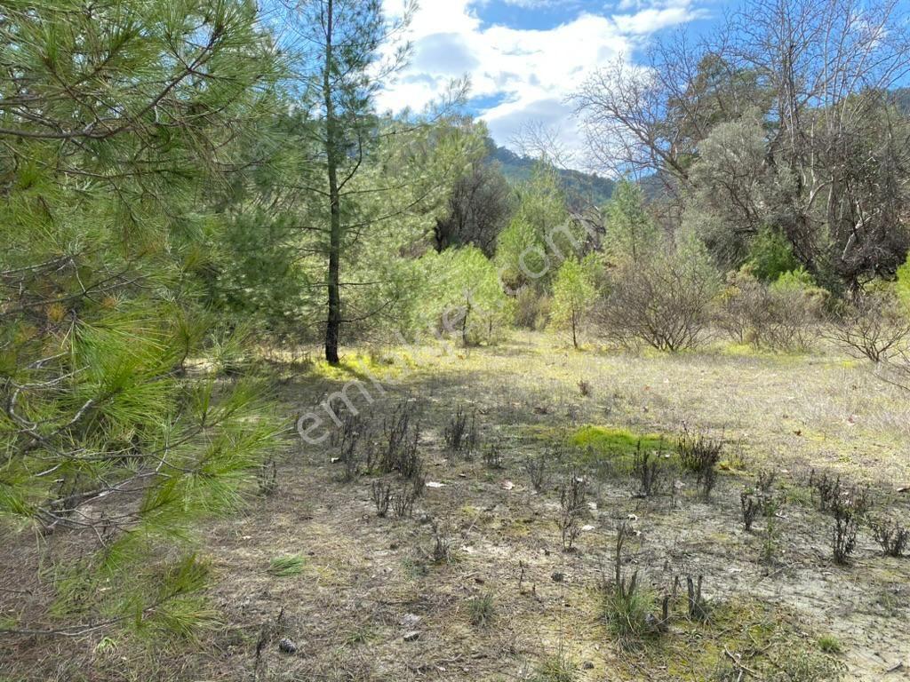 Antalya Kaş Kemer’de 3.298 M² Müstakıl Tapulu Satılık Tarla — fotoğraf 17