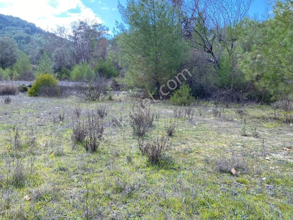 Antalya Kaş Kemer’de 3.298 M² Müstakıl Tapulu Satılık Tarla — fotoğraf 20