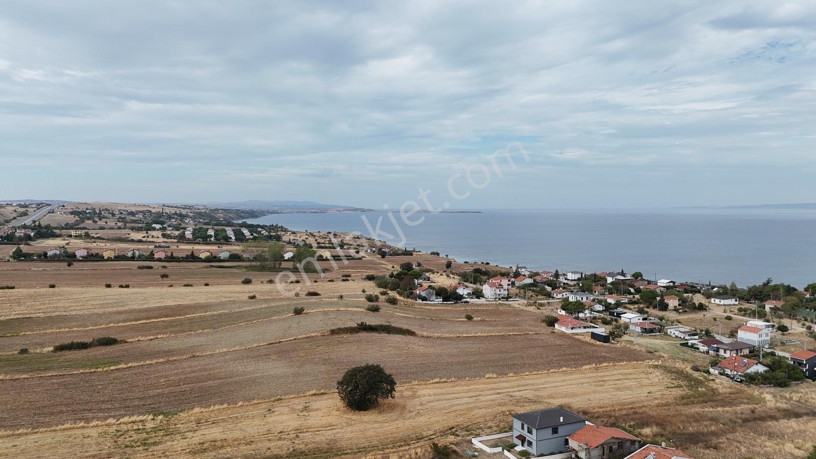 Gelibolu Saroz Körfesinde Anayola Cephe Kupon 241m2 Satılık Arsa — fotoğraf 15