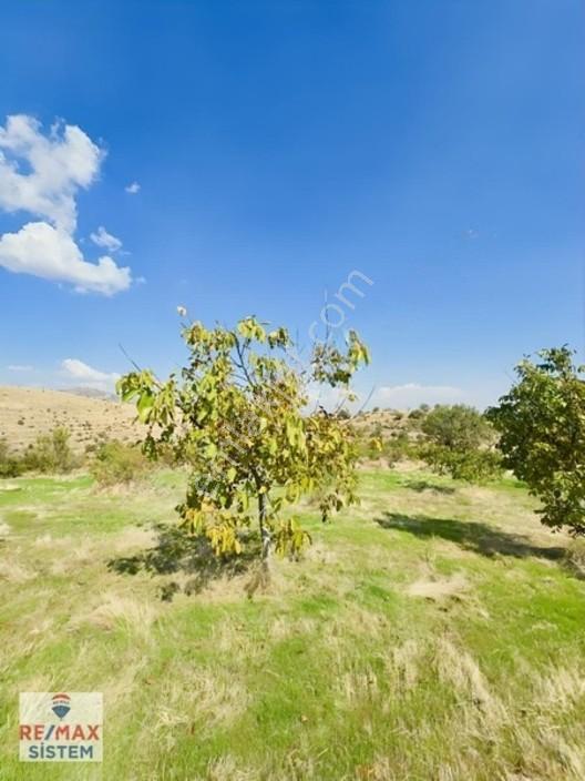 *büyükkalecik'te 16.705 M2 Satılık Tarla* — fotoğraf 3