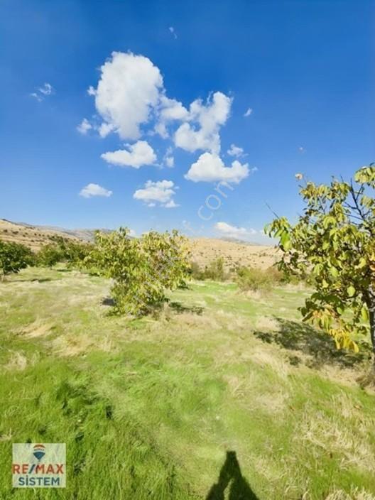 *büyükkalecik'te 16.705 M2 Satılık Tarla* — fotoğraf 4