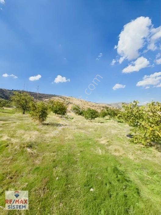 *büyükkalecik'te 16.705 M2 Satılık Tarla* — fotoğraf 6
